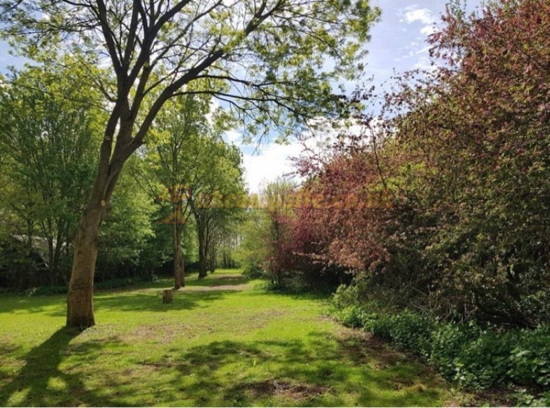 Westmoor Farm Glamping And Camping