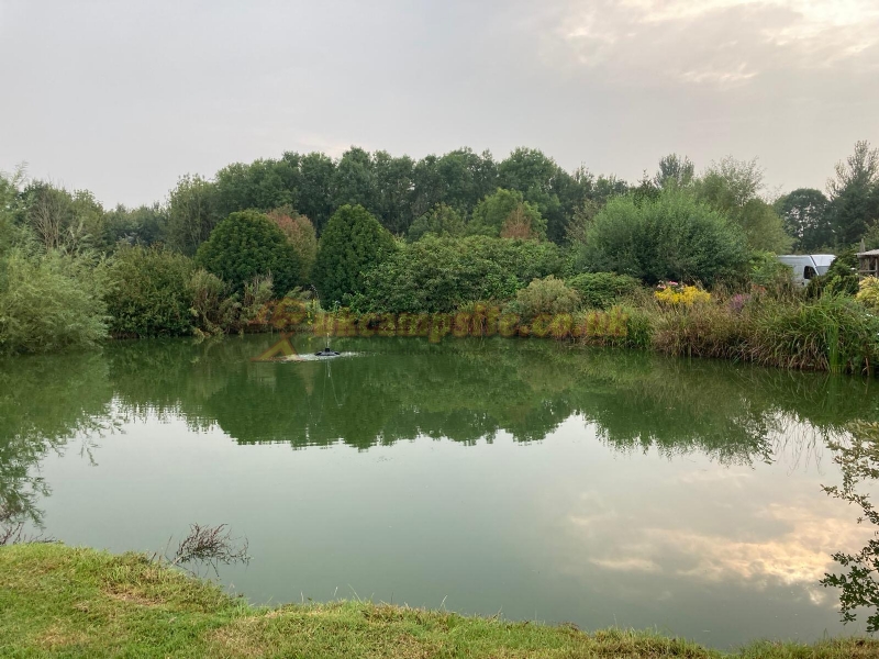 Westmoor Farm Glamping And Camping
