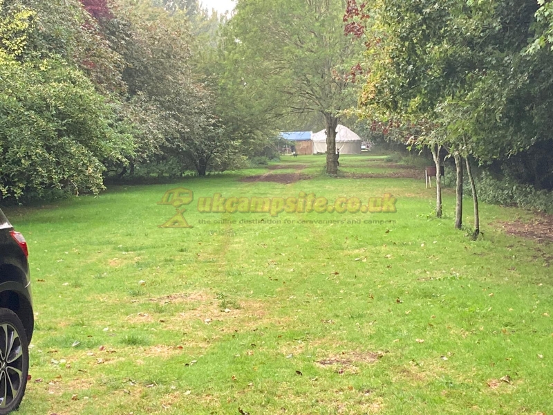 Westmoor Farm Glamping And Camping