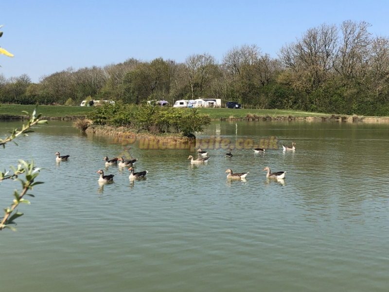 Stretton Lakes Touring Park