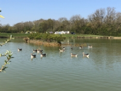 Stretton Lakes Touring Park