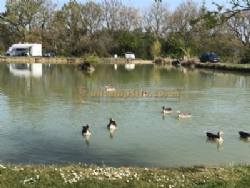 Stretton Lakes Touring Park