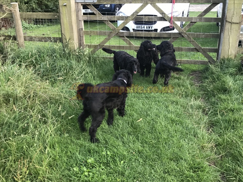 Prospect Farm Certificated Site