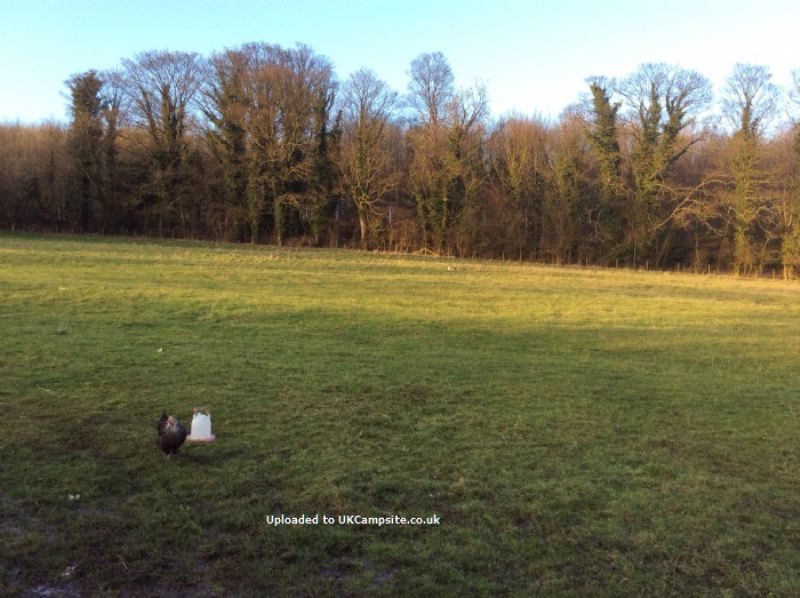 Prospect Farm Certificated Site