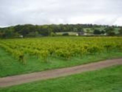 Rosemary Vineyard Touring Park