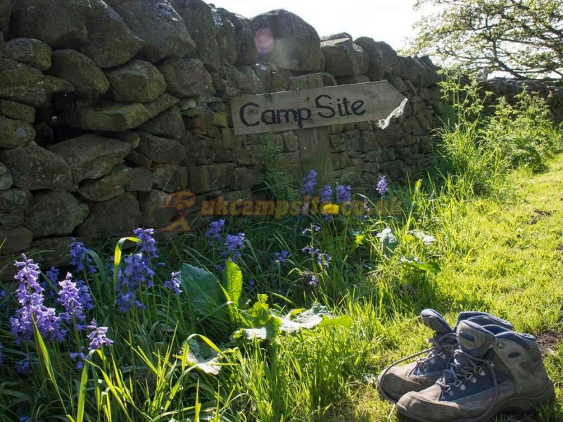 Rye Hill Farm Certificated Site