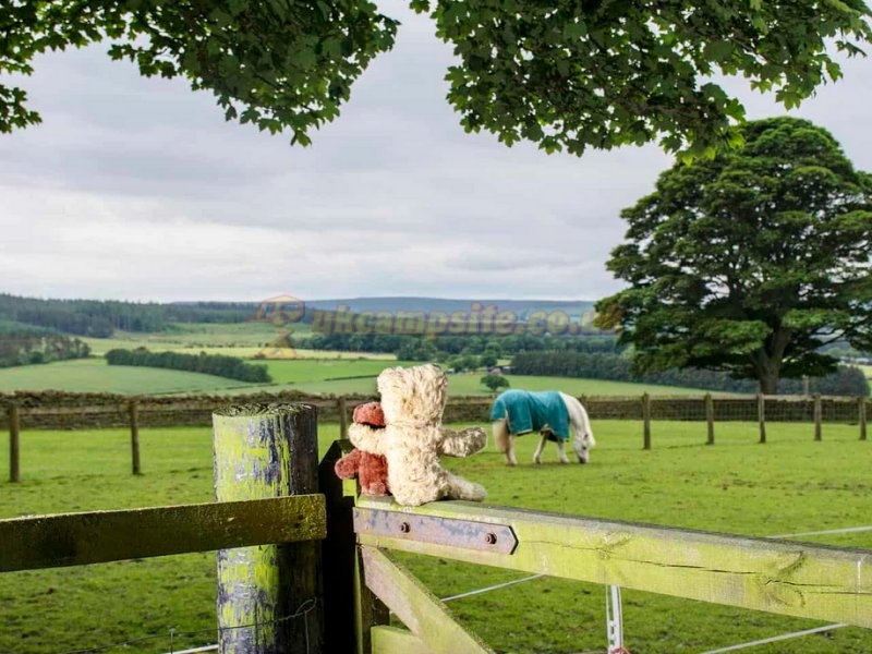 Rye Hill Farm Certificated Site