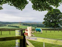Rye Hill Farm Certificated Site
