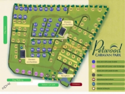 Petwood Camping And Caravan Park