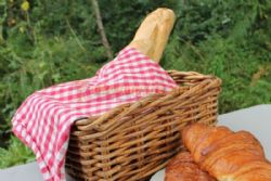 Camping Moulin De La Geneste