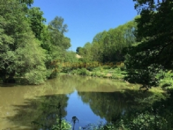 Camping Moulin De La Geneste