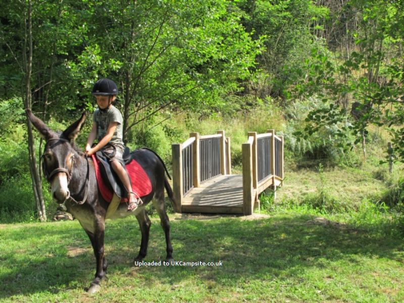 Camping Moulin De La Geneste