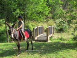 Camping Moulin De La Geneste