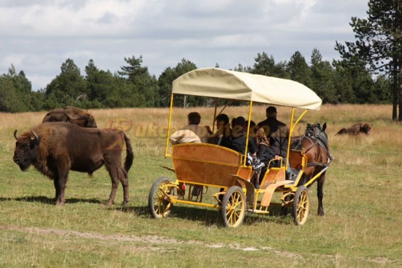Le Galier Campsite
