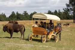 Le Galier Campsite