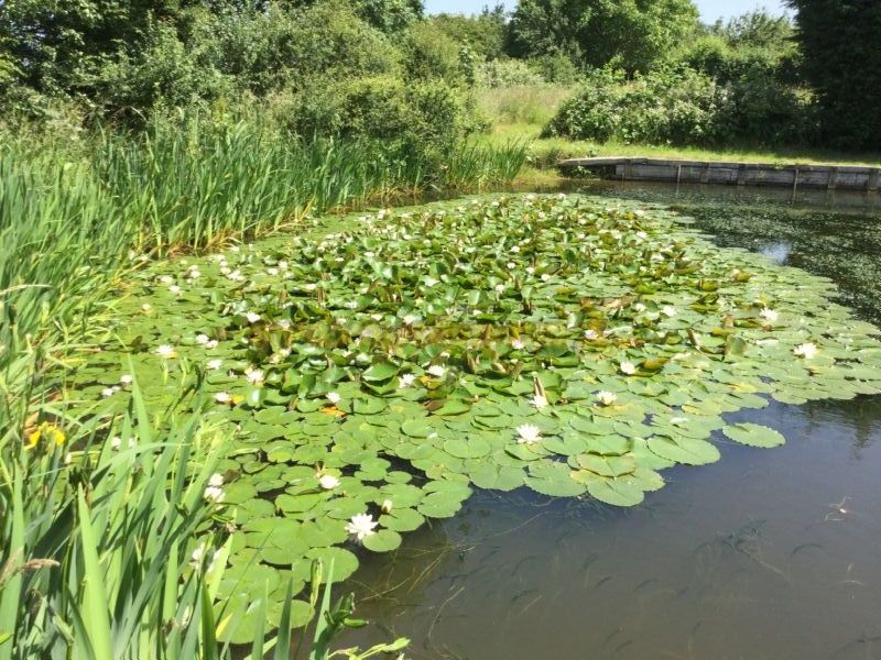 Horseshoe Lake Fishing And Caravan Site