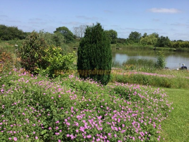 Horseshoe Lake Fishing And Caravan Site