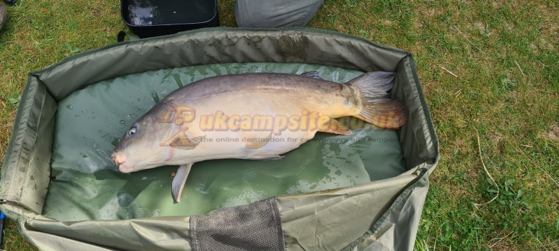 Horseshoe Lake Fishing And Caravan Site