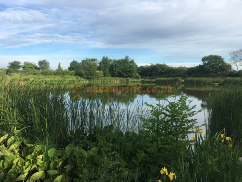 Horseshoe Lake Fishing And Caravan Site