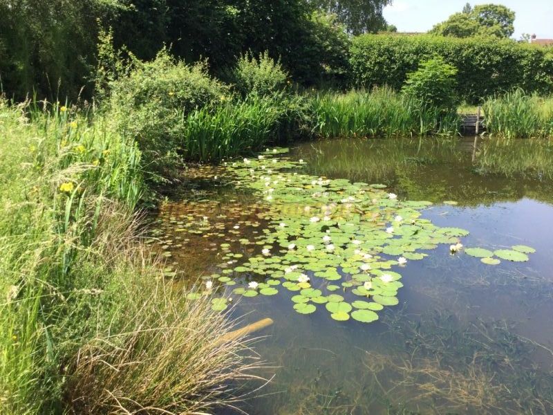 Horseshoe Lake Fishing And Caravan Site