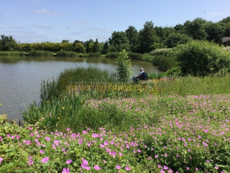 Horseshoe Lake Fishing And Caravan Site