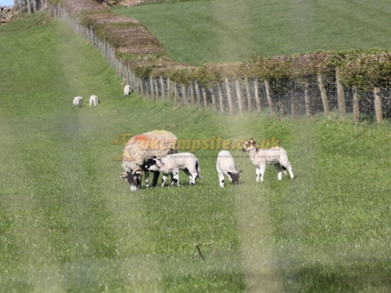 Laverick Hall Caravan Site