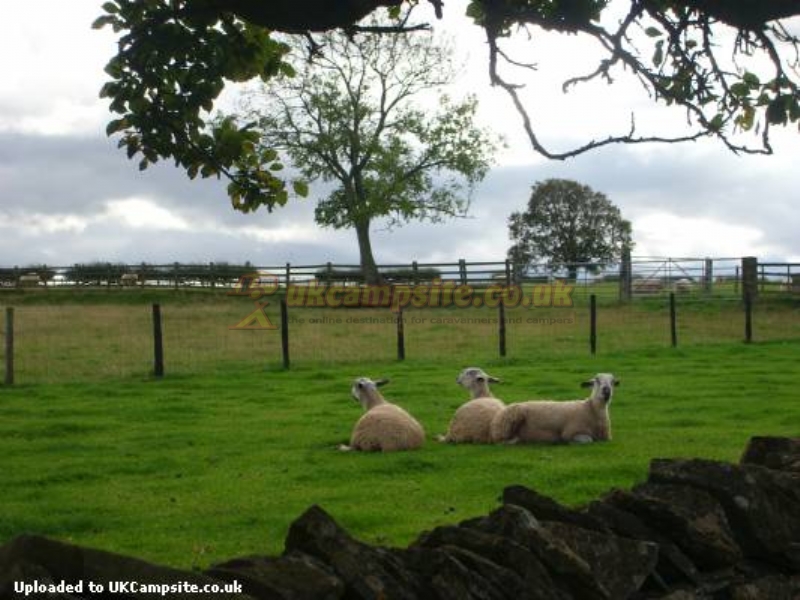 Bungdale Head Farm Caravan And Camping Site