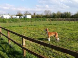 Brenda House Touring Caravan Park