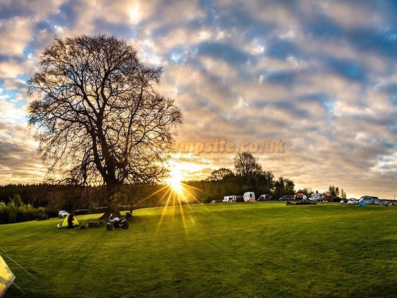 Beeches Farm Campsite