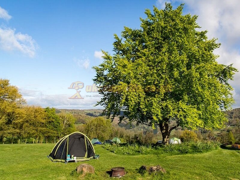 Beeches Farm Campsite