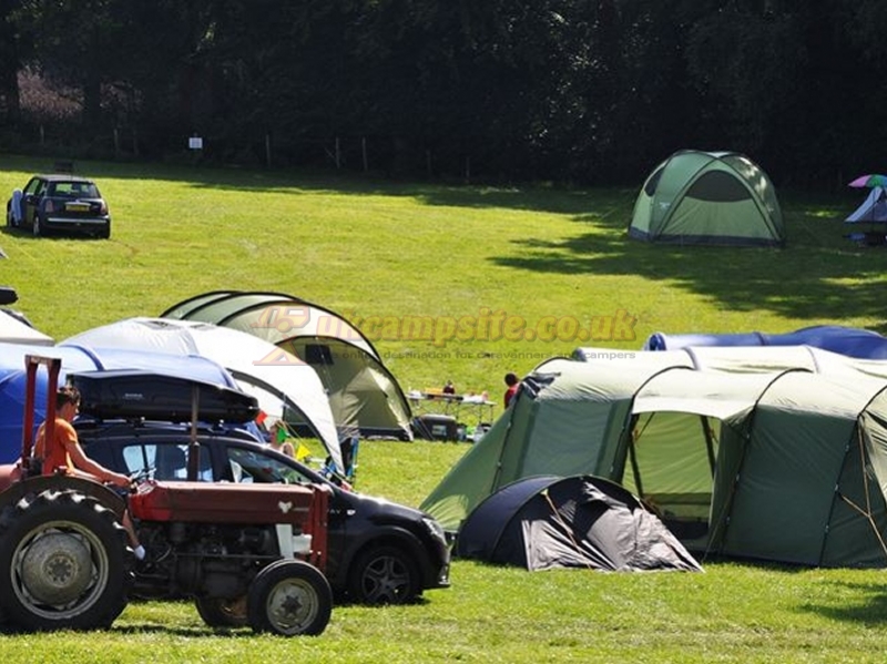 Bedgebury Camping