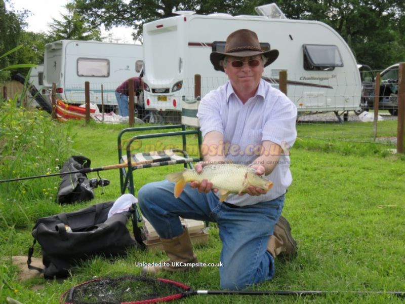 Trench Farm Fisheries And Touring Park