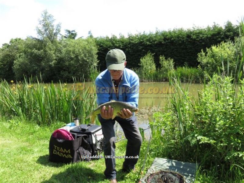 Trench Farm Fisheries And Touring Park
