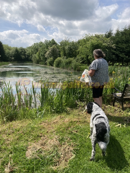 Trench Farm Fisheries And Touring Park