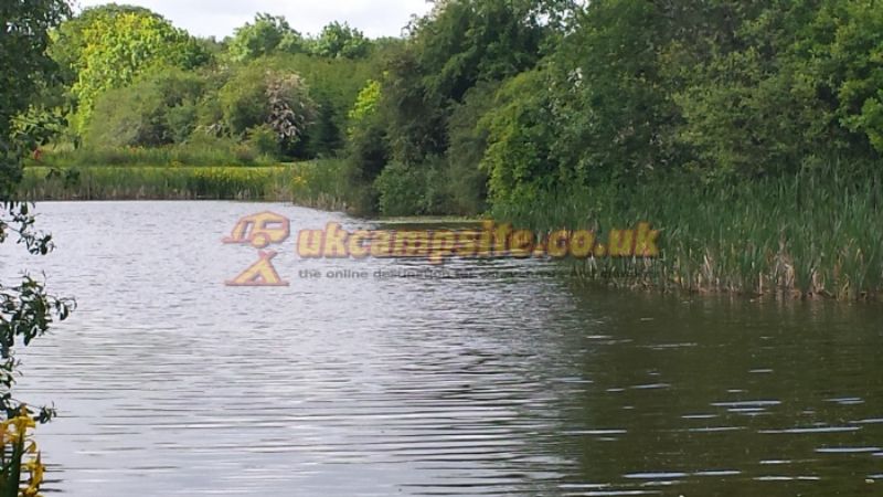 Trench Farm Fisheries And Touring Park