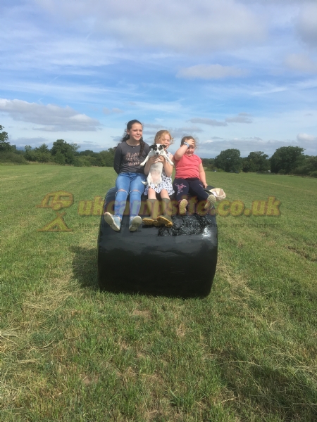 Trench Farm Fisheries And Touring Park
