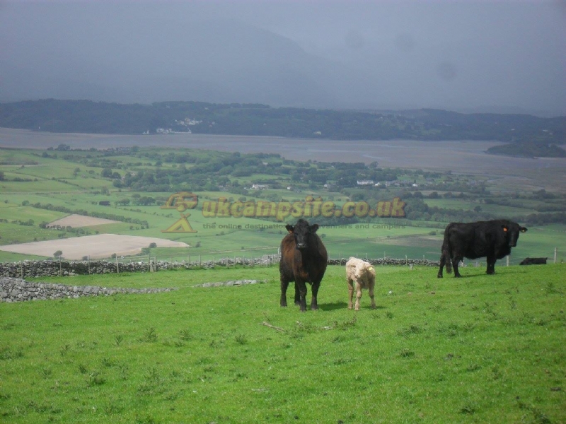 Merthyr Farm