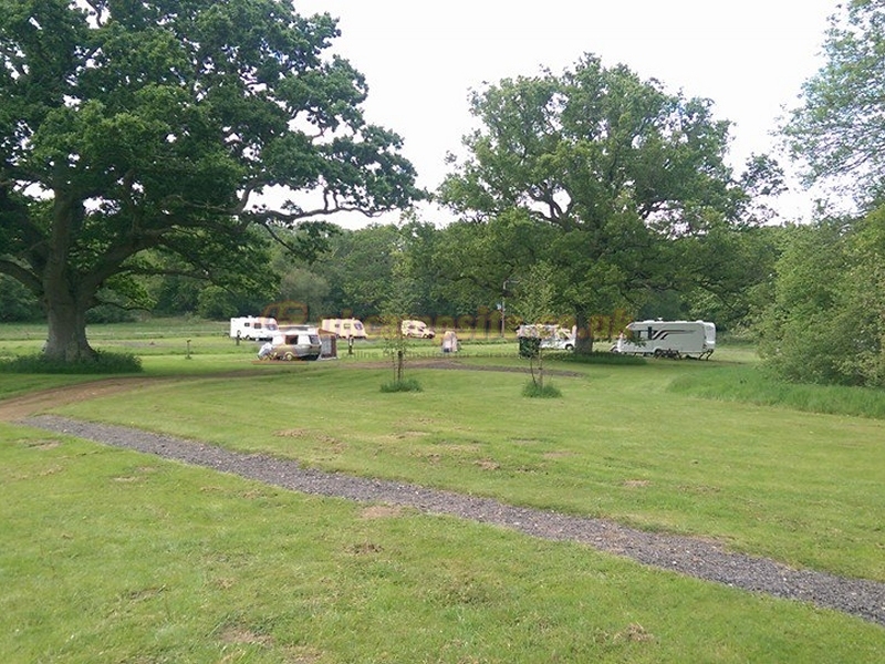 Three Trees Campsite