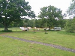 Three Trees Campsite