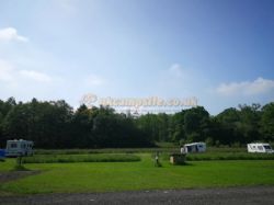 Three Trees Campsite