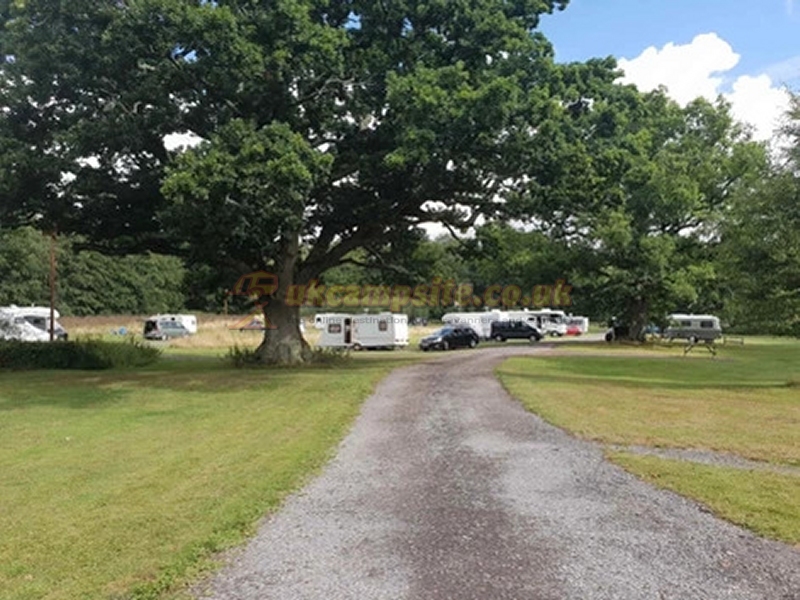 Three Trees Campsite