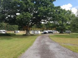 Three Trees Campsite