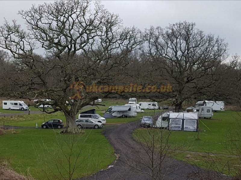 Three Trees Campsite