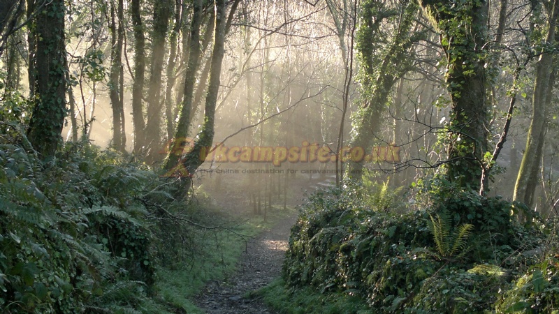 Trevellas Manor Farm Caravan And Campsite