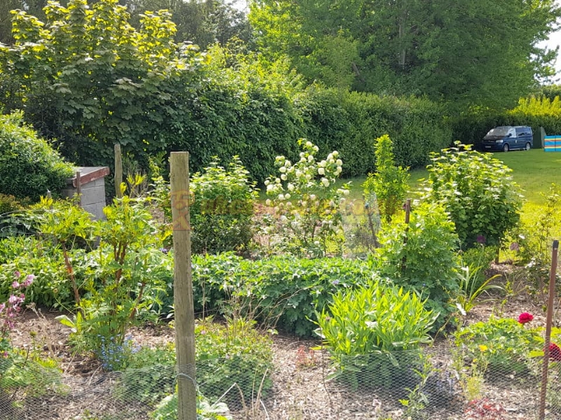 Fox Covert Campsite And Cabins