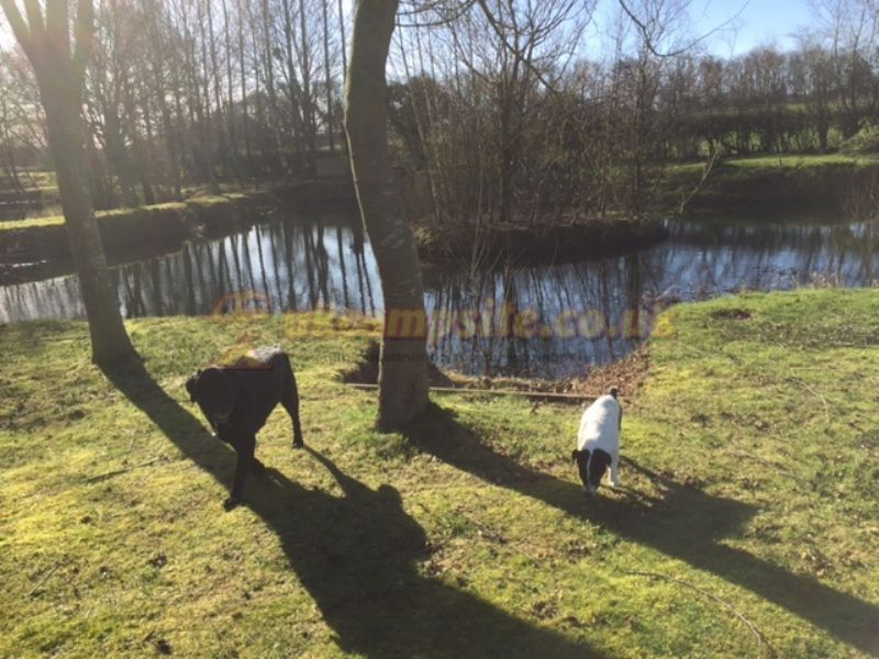 Marsh House Farm Certificated Site