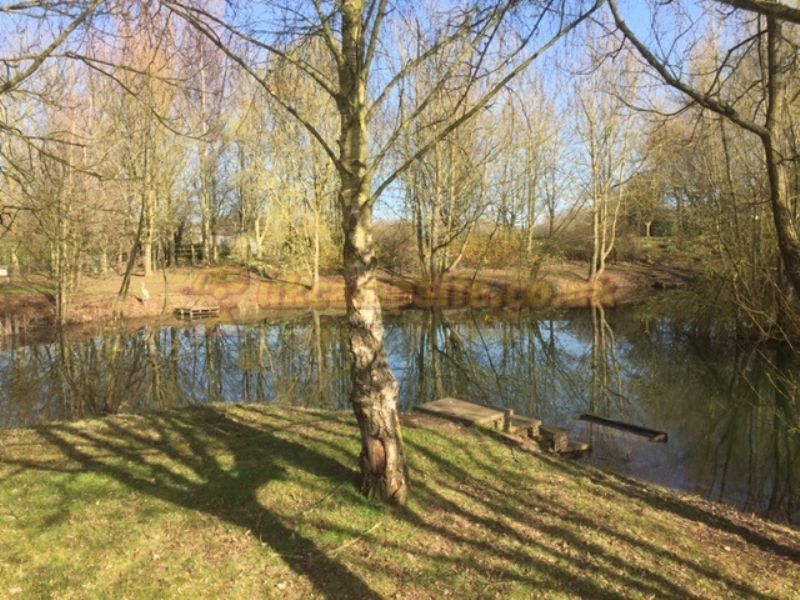 Marsh House Farm Certificated Site
