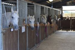 Valley Farm Equestrian Leisure