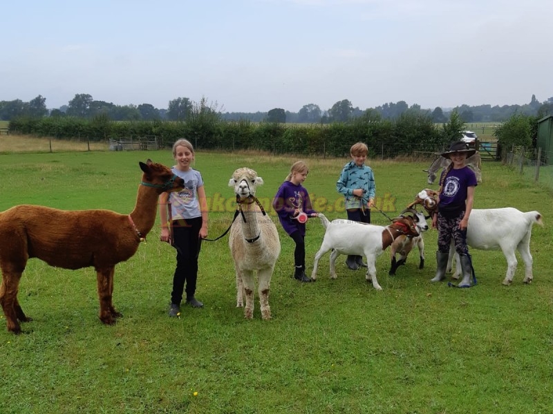 Valley Farm Equestrian Leisure