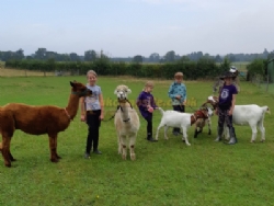 Valley Farm Equestrian Leisure